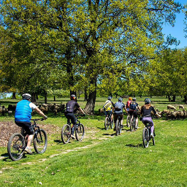 experiente e-bike transylvania inchiriere biciclete electrice ture ghidate